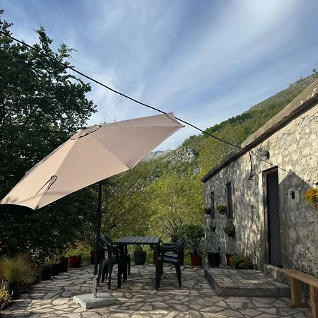 Nature Escape Montenegro Kotor Exteriör bild
