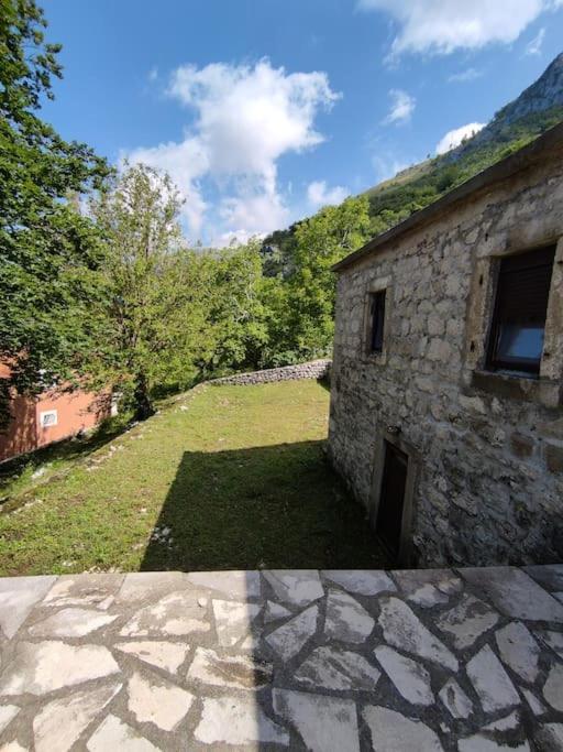 Nature Escape Montenegro Kotor Exteriör bild