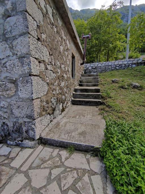 Nature Escape Montenegro Kotor Exteriör bild