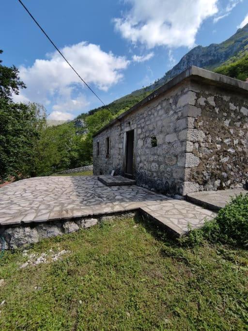 Nature Escape Montenegro Kotor Exteriör bild