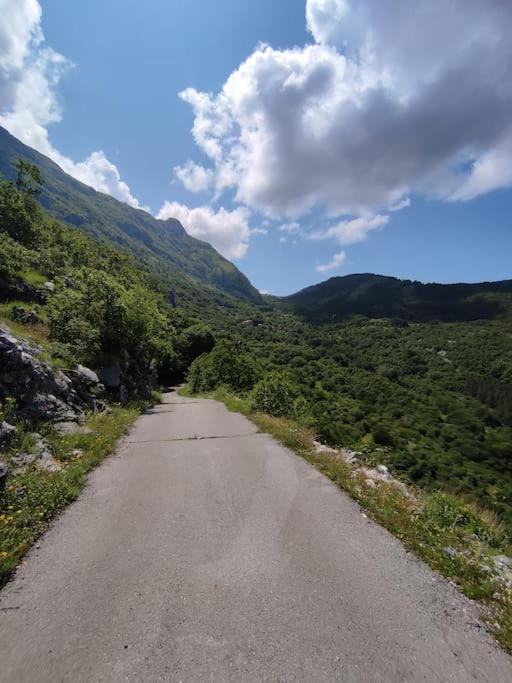 Nature Escape Montenegro Kotor Exteriör bild
