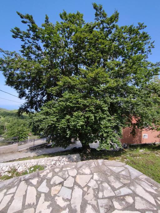 Nature Escape Montenegro Kotor Exteriör bild