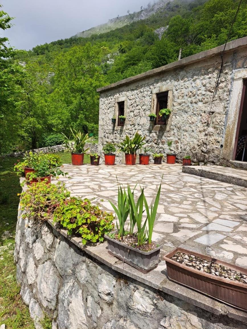 Nature Escape Montenegro Kotor Exteriör bild