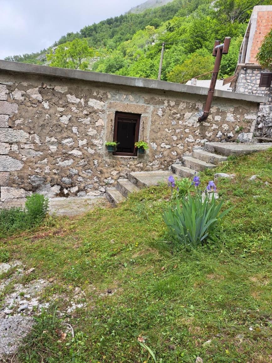 Nature Escape Montenegro Kotor Exteriör bild