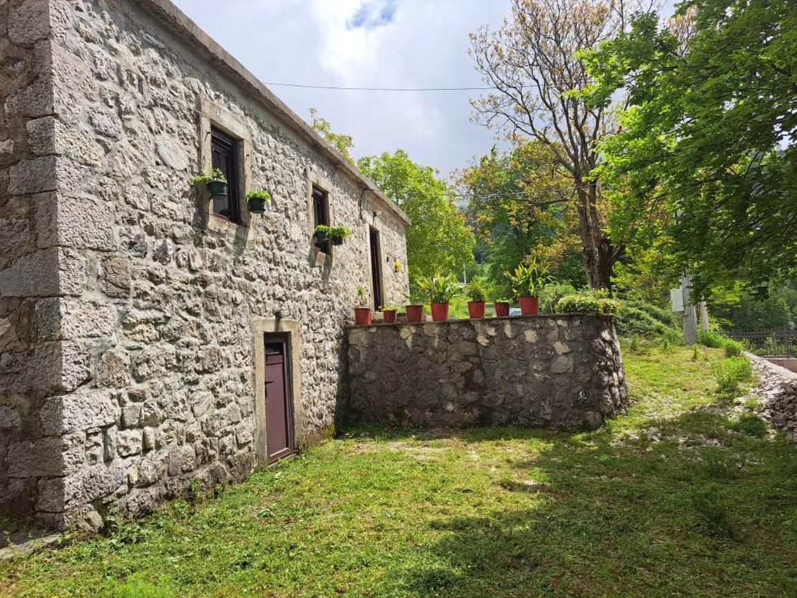 Nature Escape Montenegro Kotor Exteriör bild