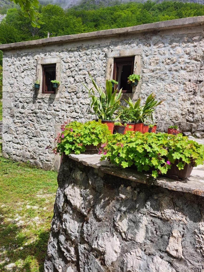 Nature Escape Montenegro Kotor Exteriör bild