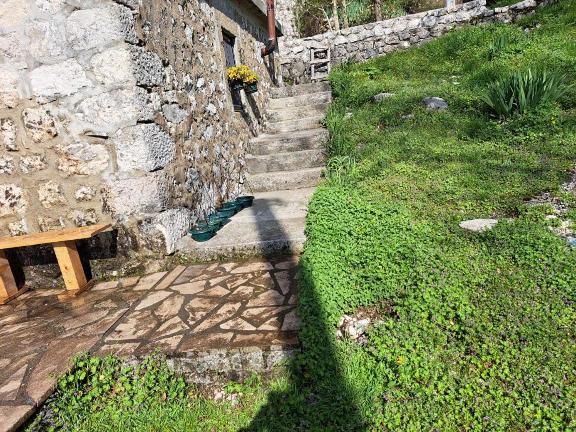Nature Escape Montenegro Kotor Exteriör bild