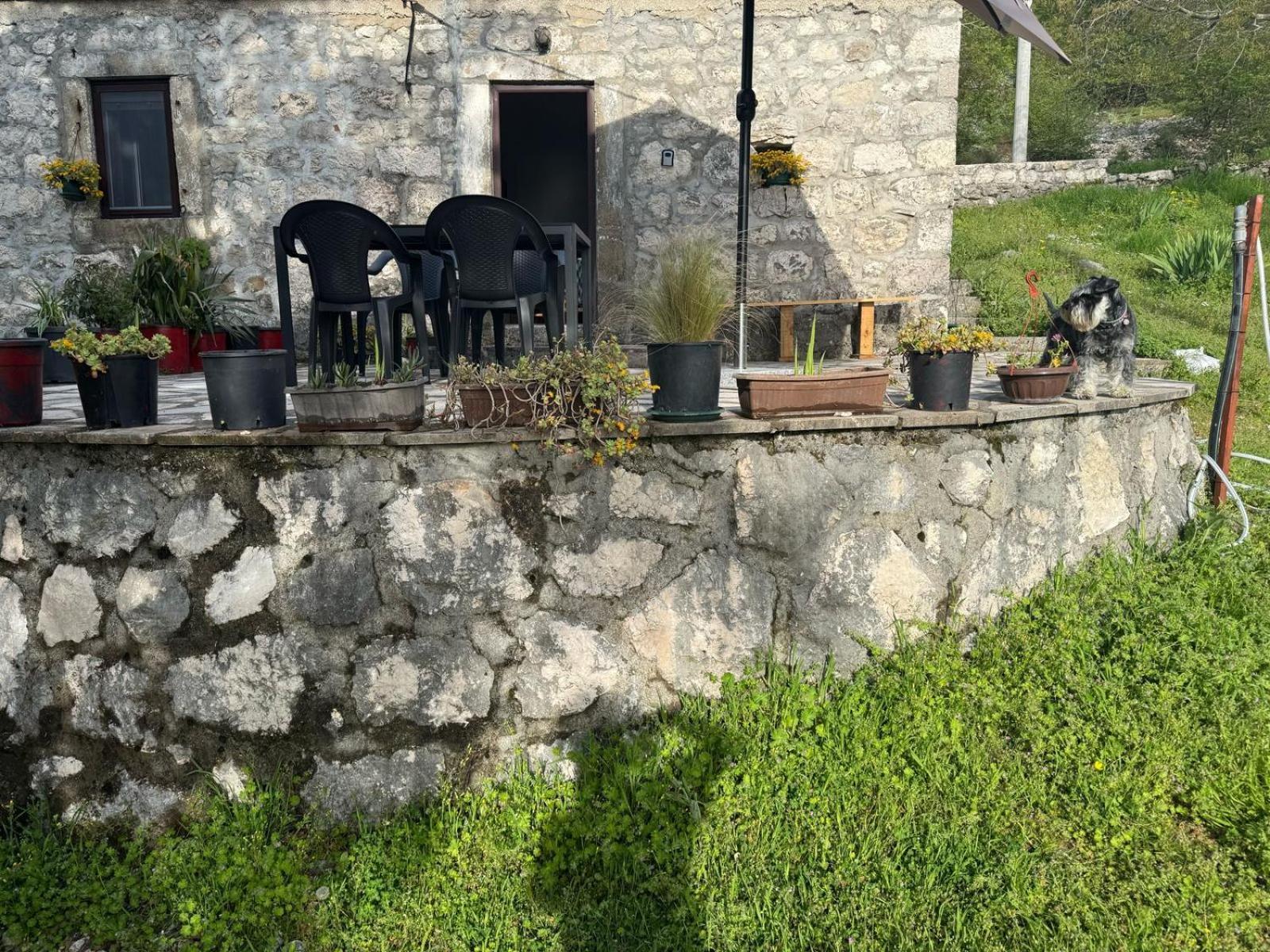 Nature Escape Montenegro Kotor Exteriör bild