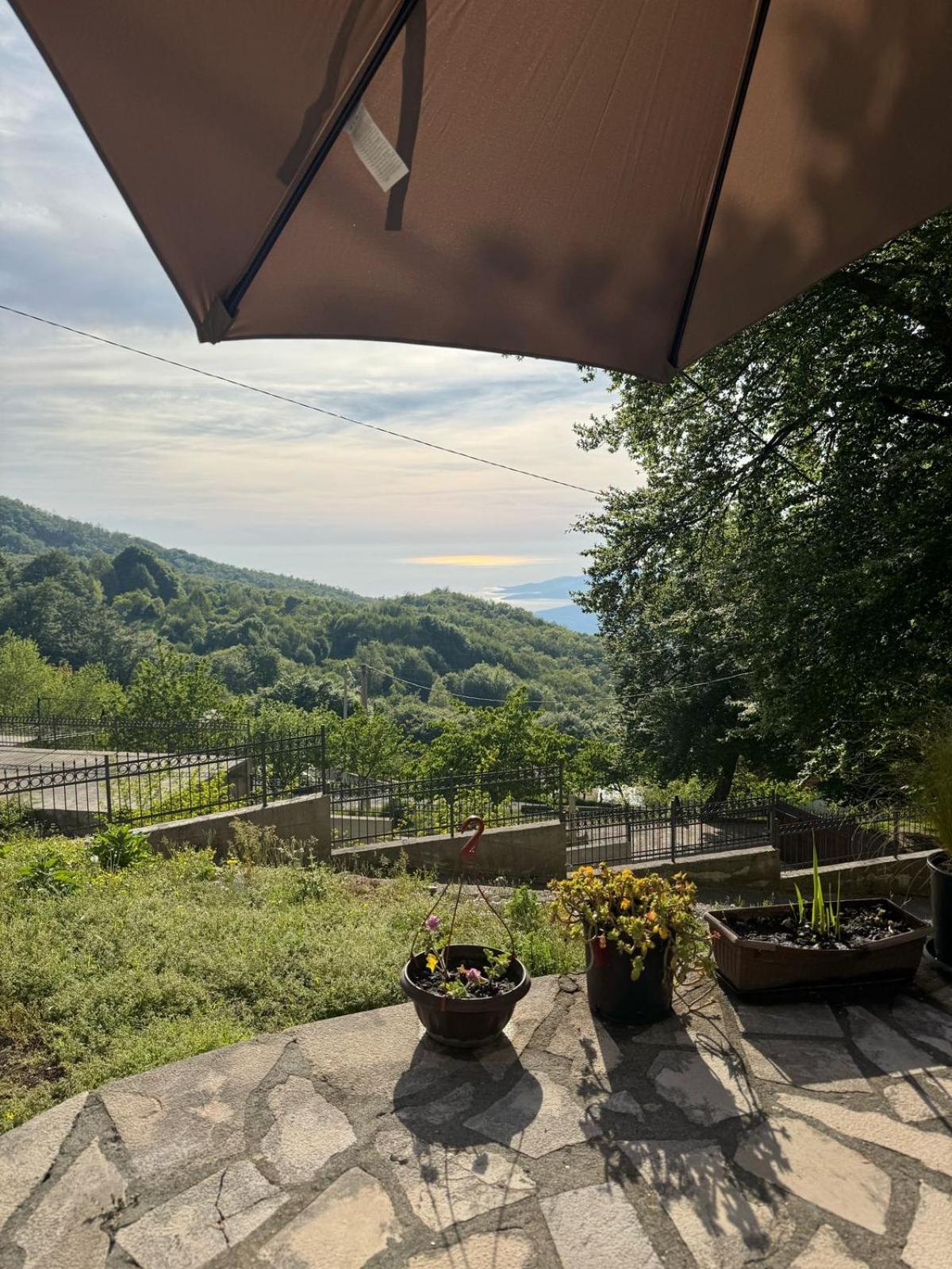 Nature Escape Montenegro Kotor Exteriör bild