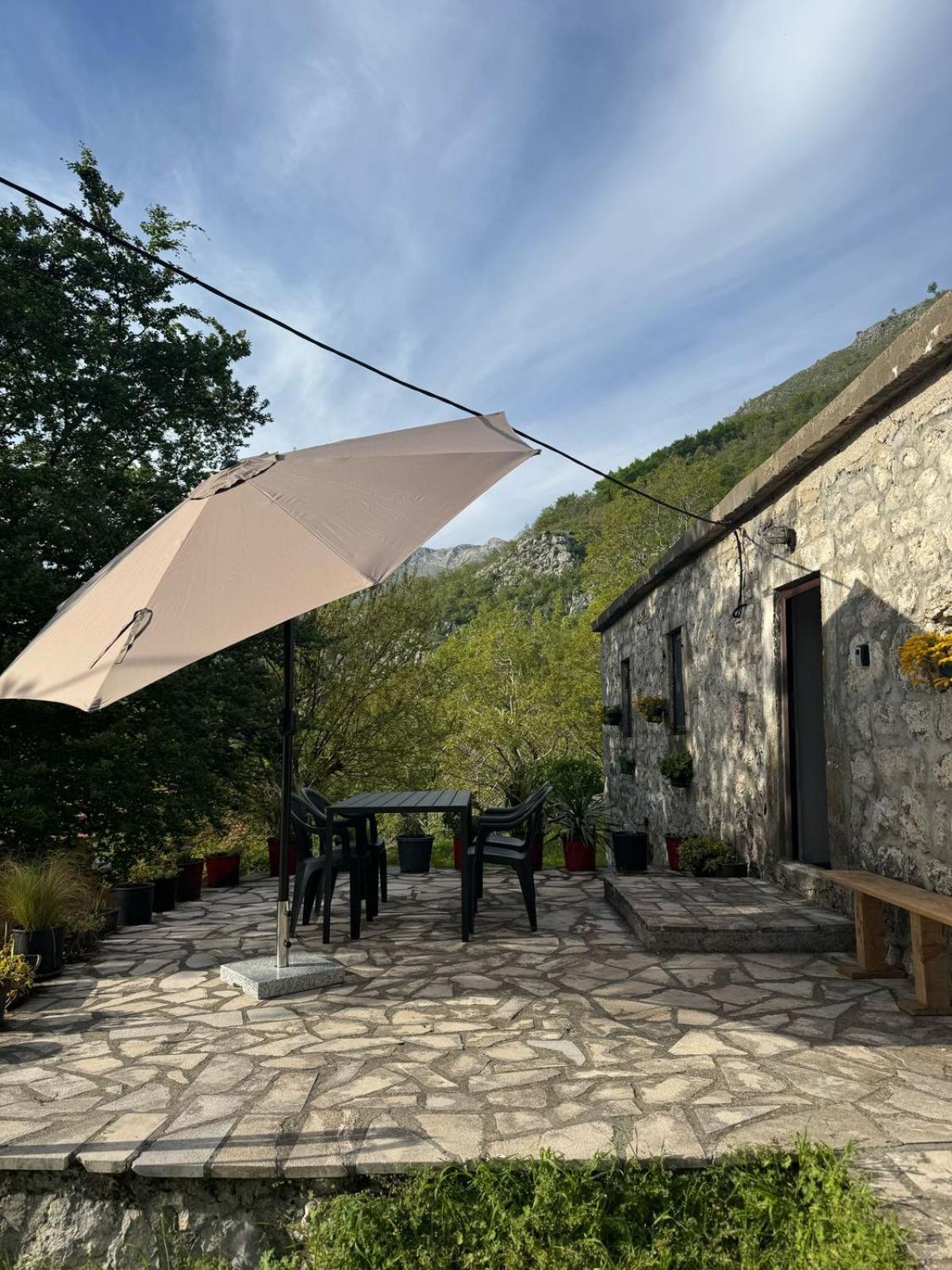 Nature Escape Montenegro Kotor Exteriör bild