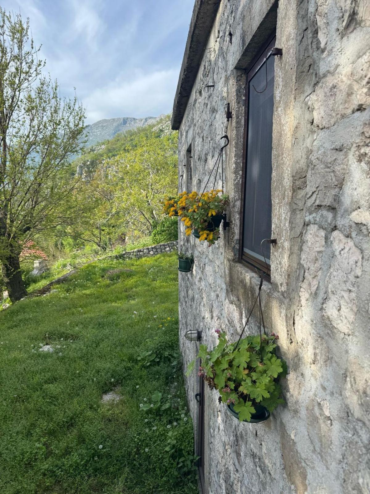 Nature Escape Montenegro Kotor Exteriör bild